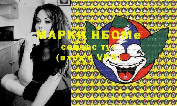 PSILOCYBIN Бородино