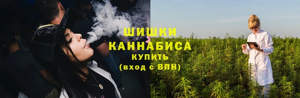 эйфоретик Вяземский