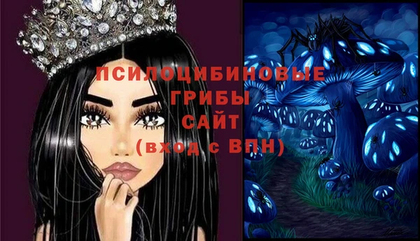 соль ск Бронницы