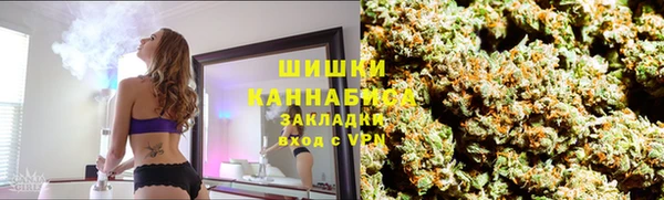 PSILOCYBIN Бородино