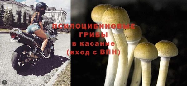 соль ск Бронницы