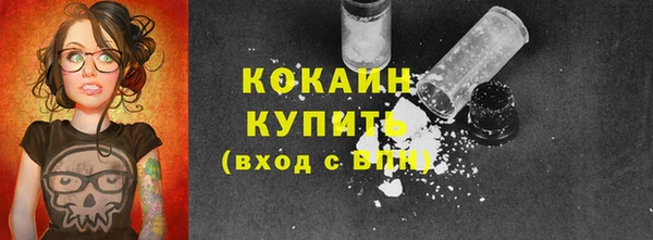 PSILOCYBIN Бородино