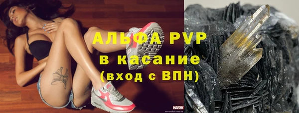 PSILOCYBIN Бородино
