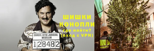 PSILOCYBIN Бородино