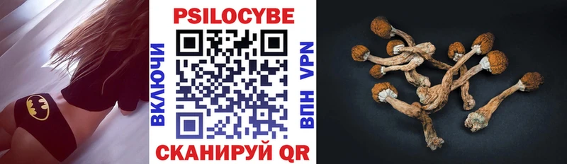 Псилоцибиновые грибы ЛСД Верея